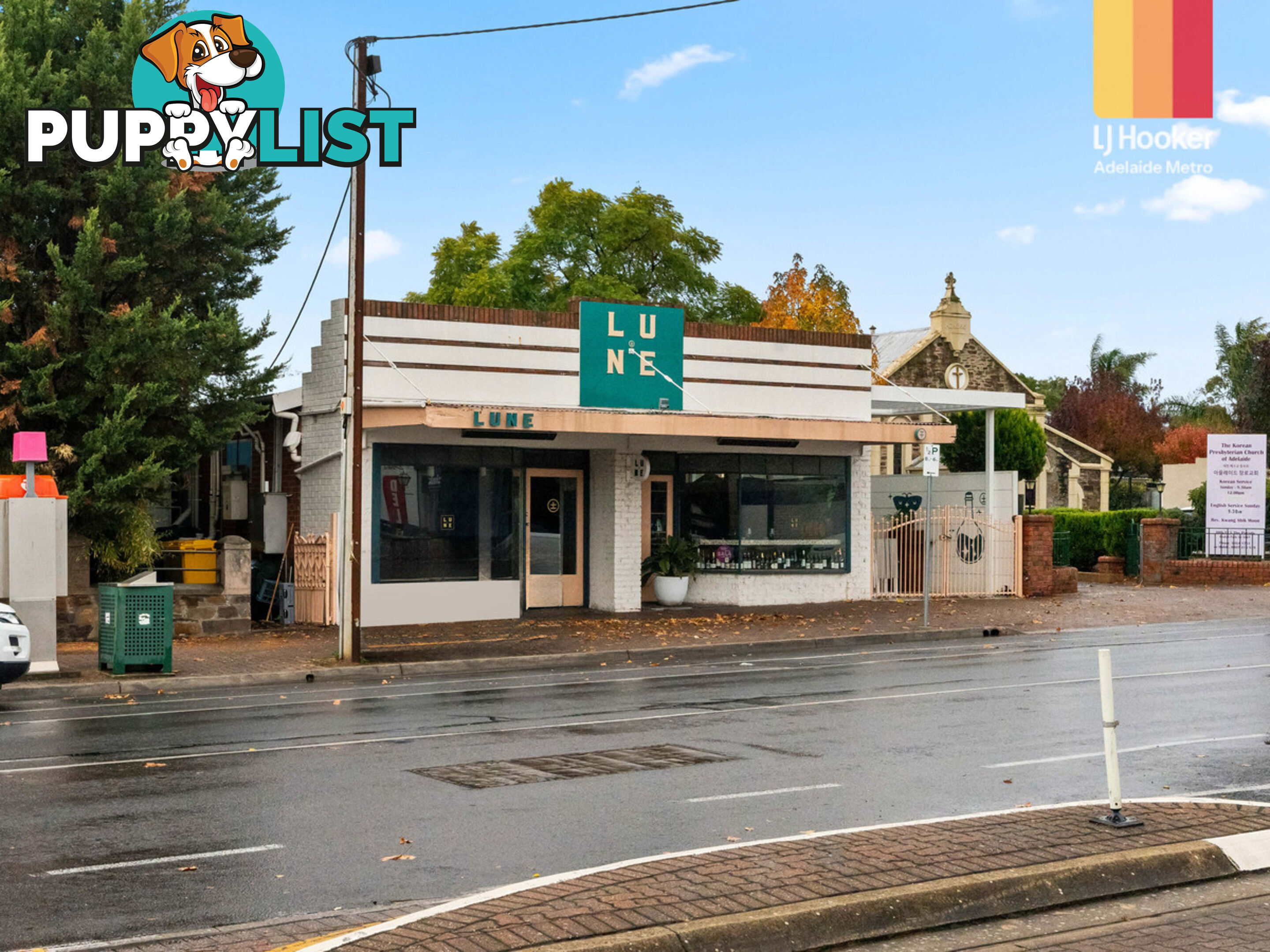 3 Salter Street KENSINGTON SA 5068