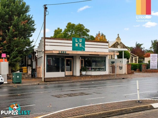 3 Salter Street KENSINGTON SA 5068