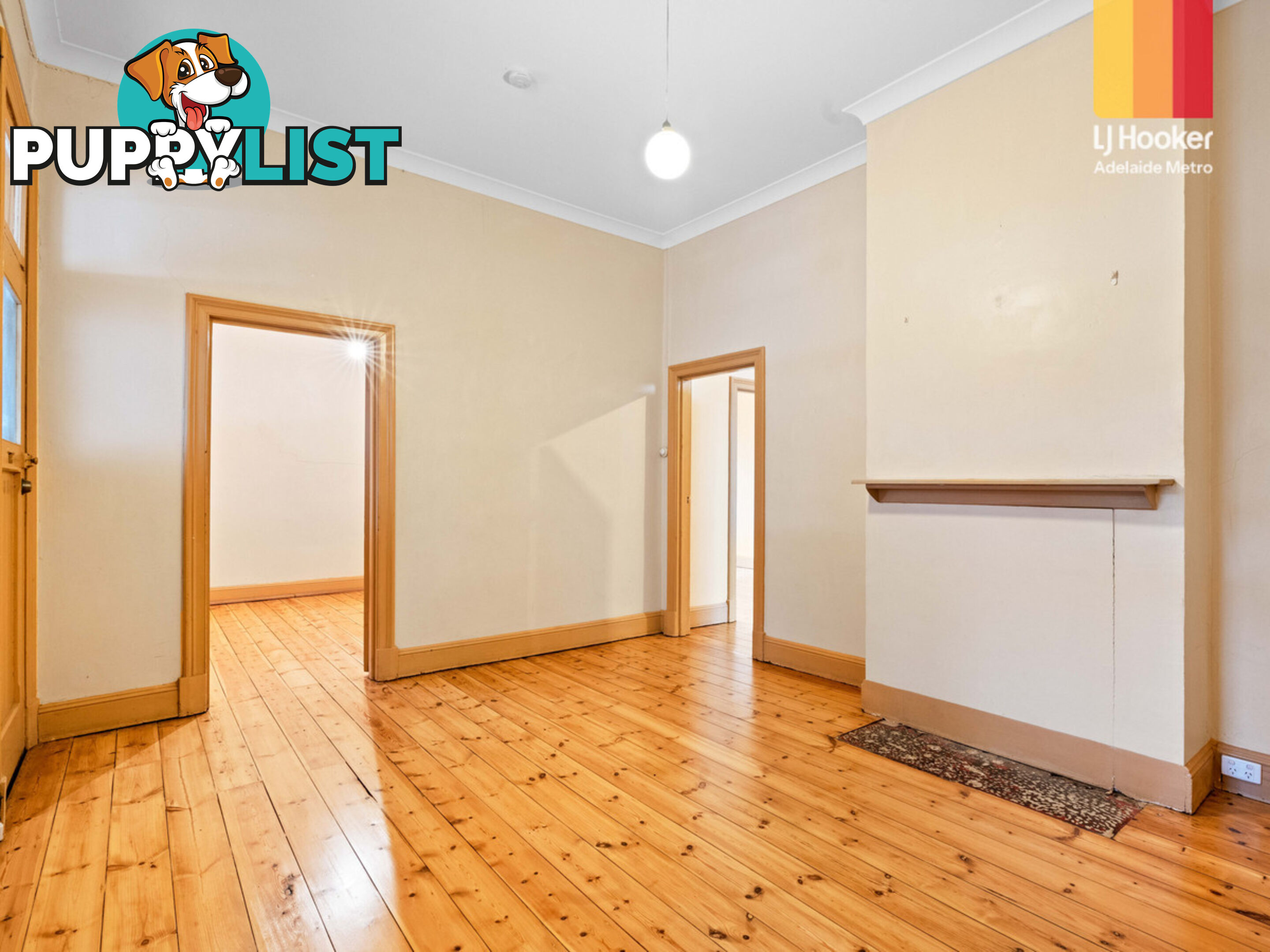 3 Salter Street KENSINGTON SA 5068