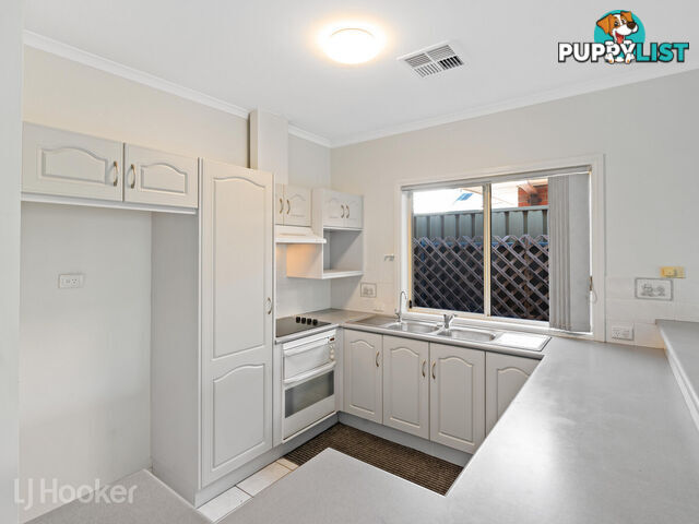 8 Ferris Street MAGILL SA 5072