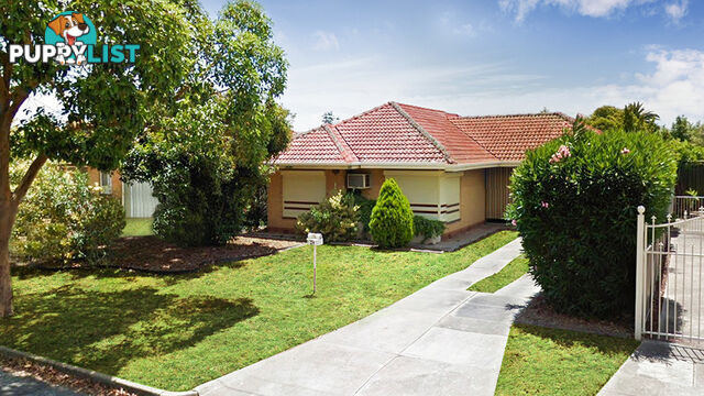 24 Leewood Road PARADISE SA 5075