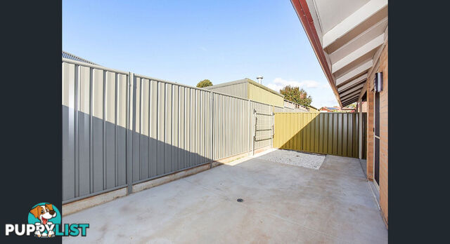 2/3 Albert Place PAYNEHAM SA 5070