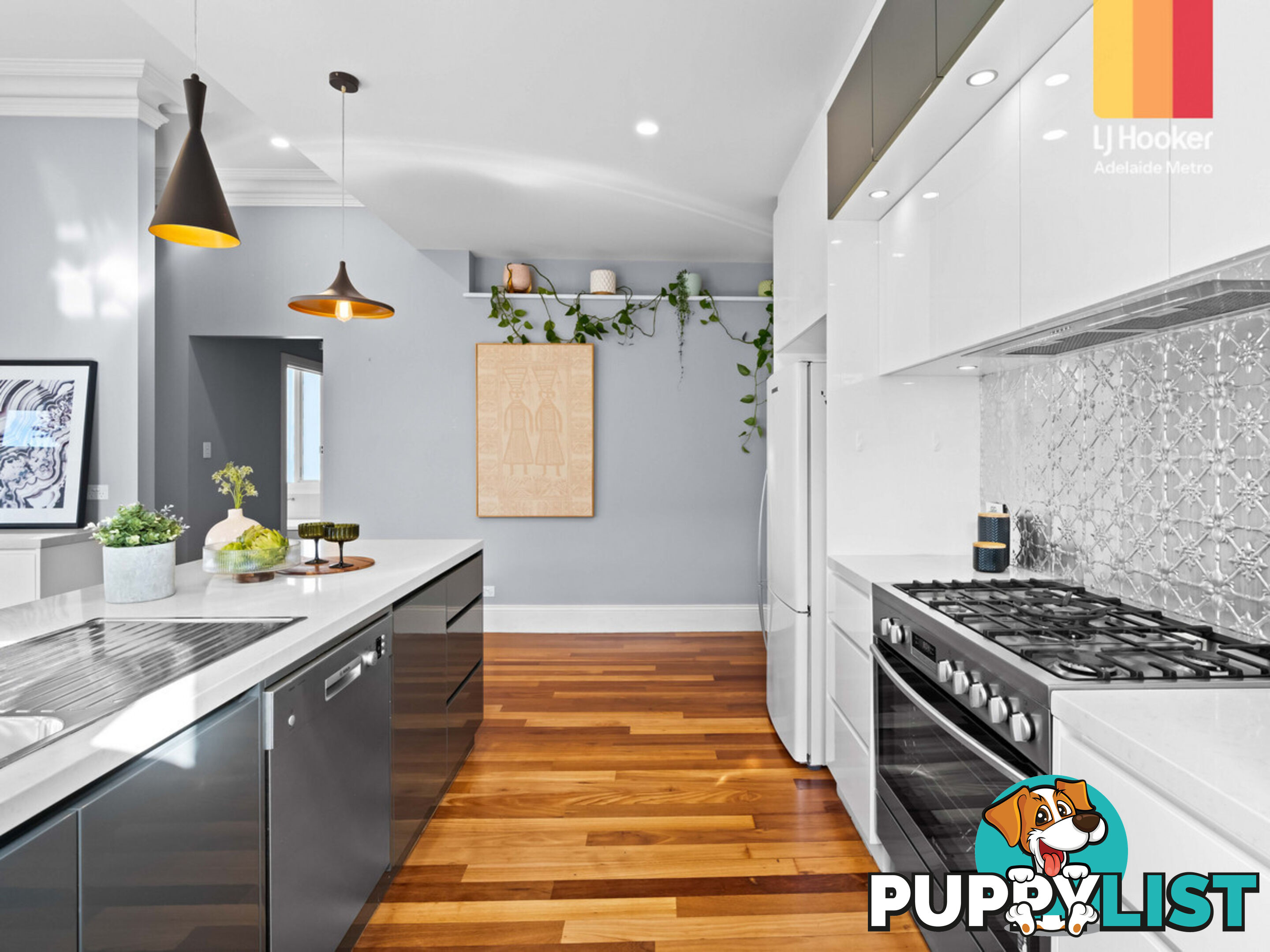 17 Bice Street MARLESTON SA 5033