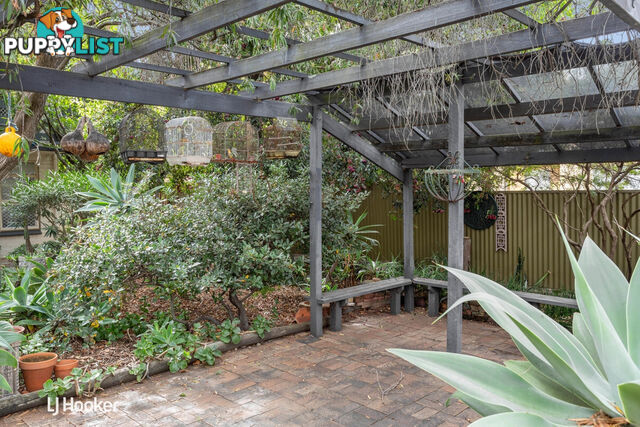 7/7 Wakefield Street KENT TOWN SA 5067