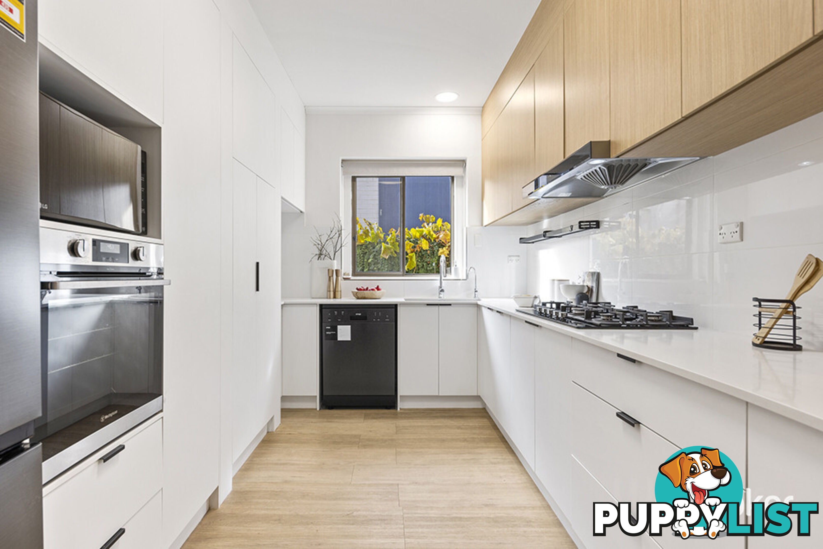 11 Brougham Street MAGILL SA 5072
