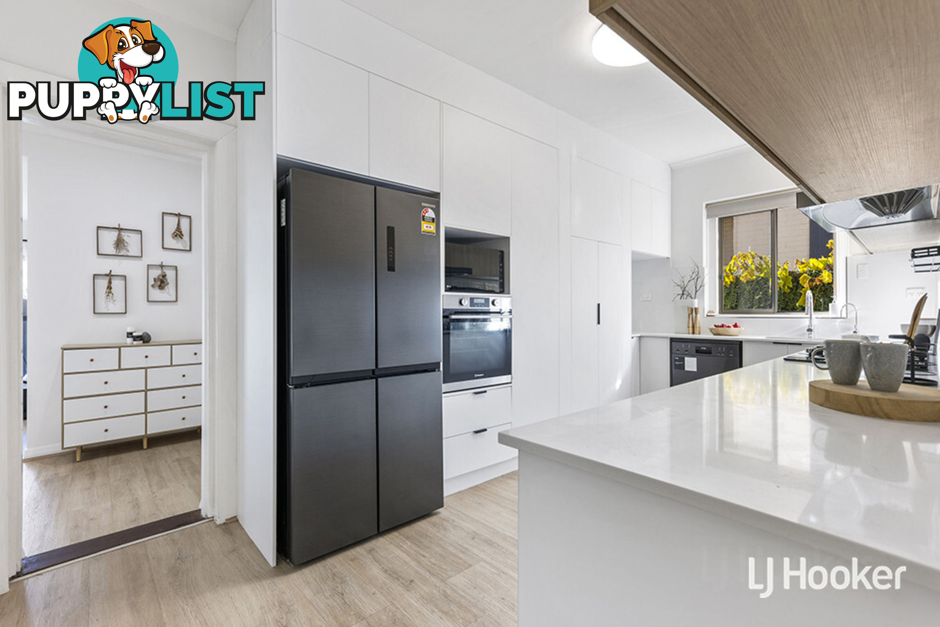 11 Brougham Street MAGILL SA 5072