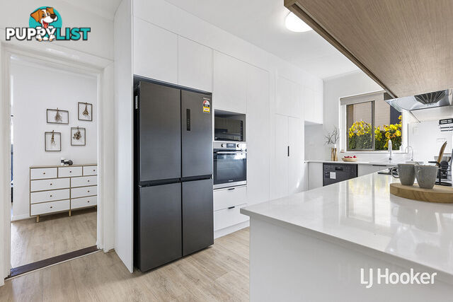 11 Brougham Street MAGILL SA 5072