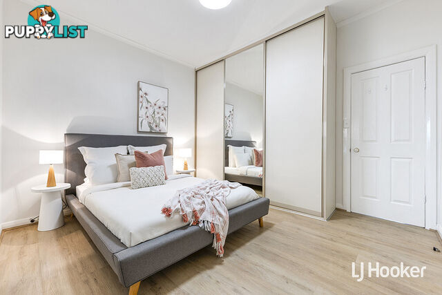 11 Brougham Street MAGILL SA 5072