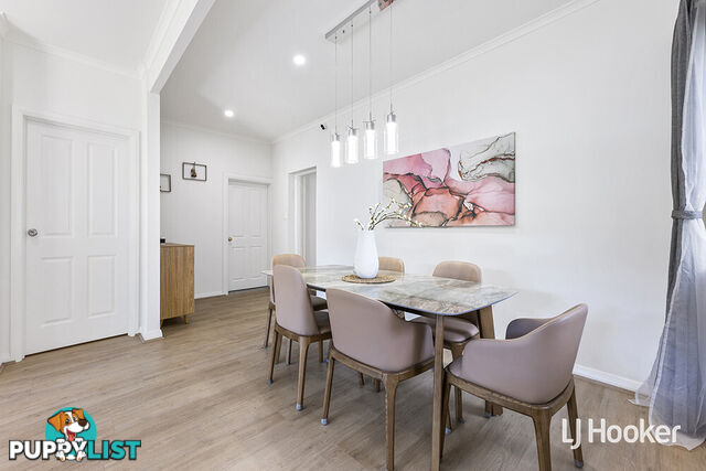 11 Brougham Street MAGILL SA 5072