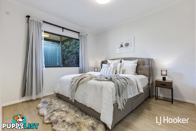 11 Brougham Street MAGILL SA 5072