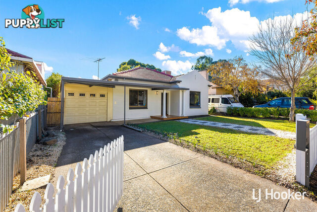 11 Brougham Street MAGILL SA 5072