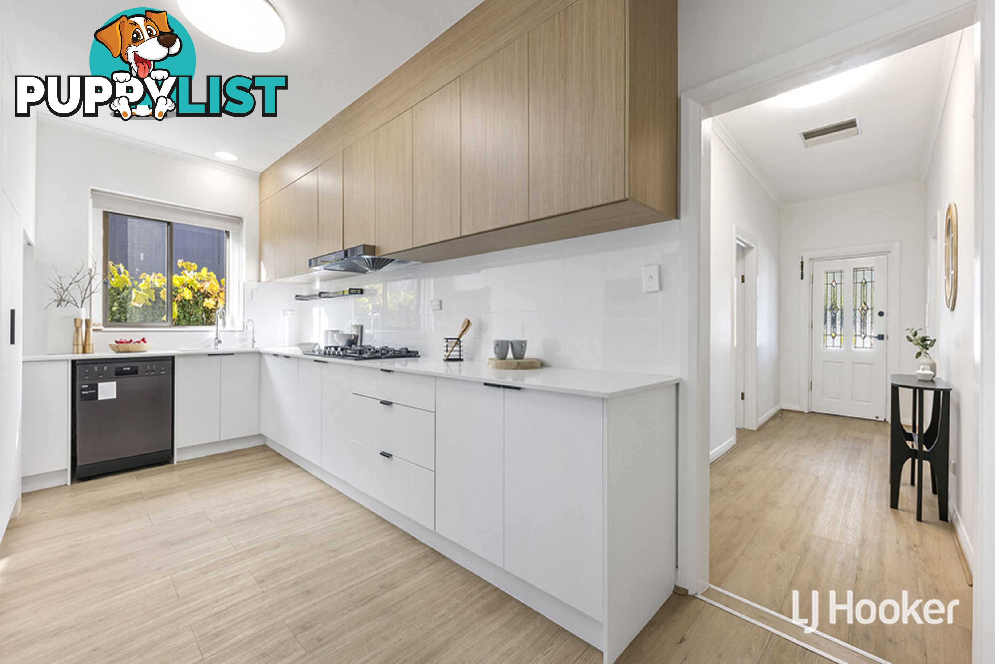 11 Brougham Street MAGILL SA 5072