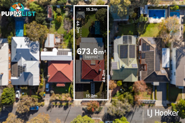 11 Brougham Street MAGILL SA 5072