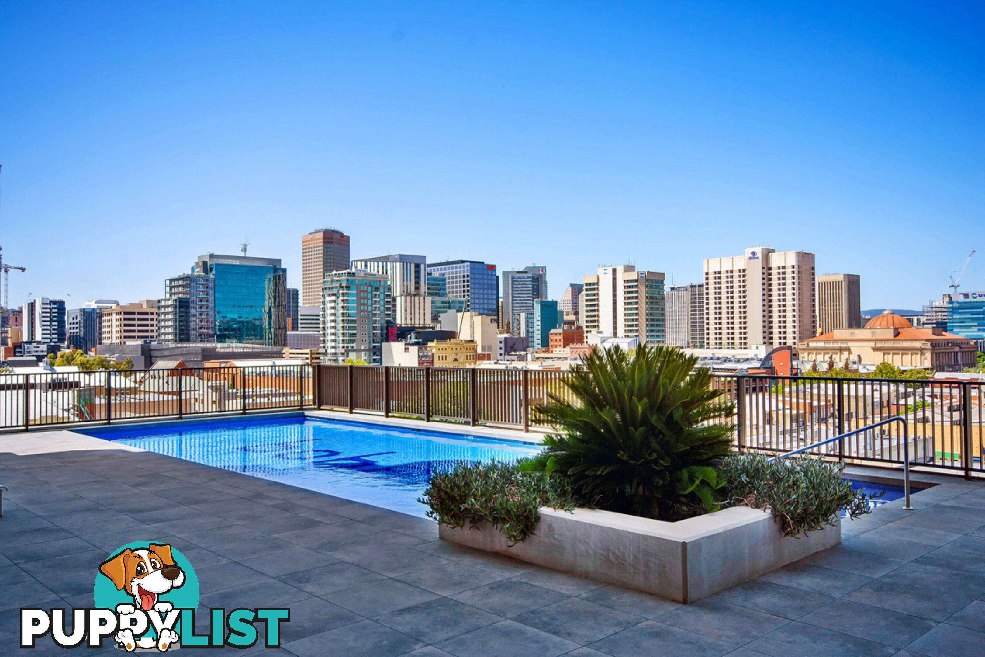 806/156 Wright Street ADELAIDE SA 5000