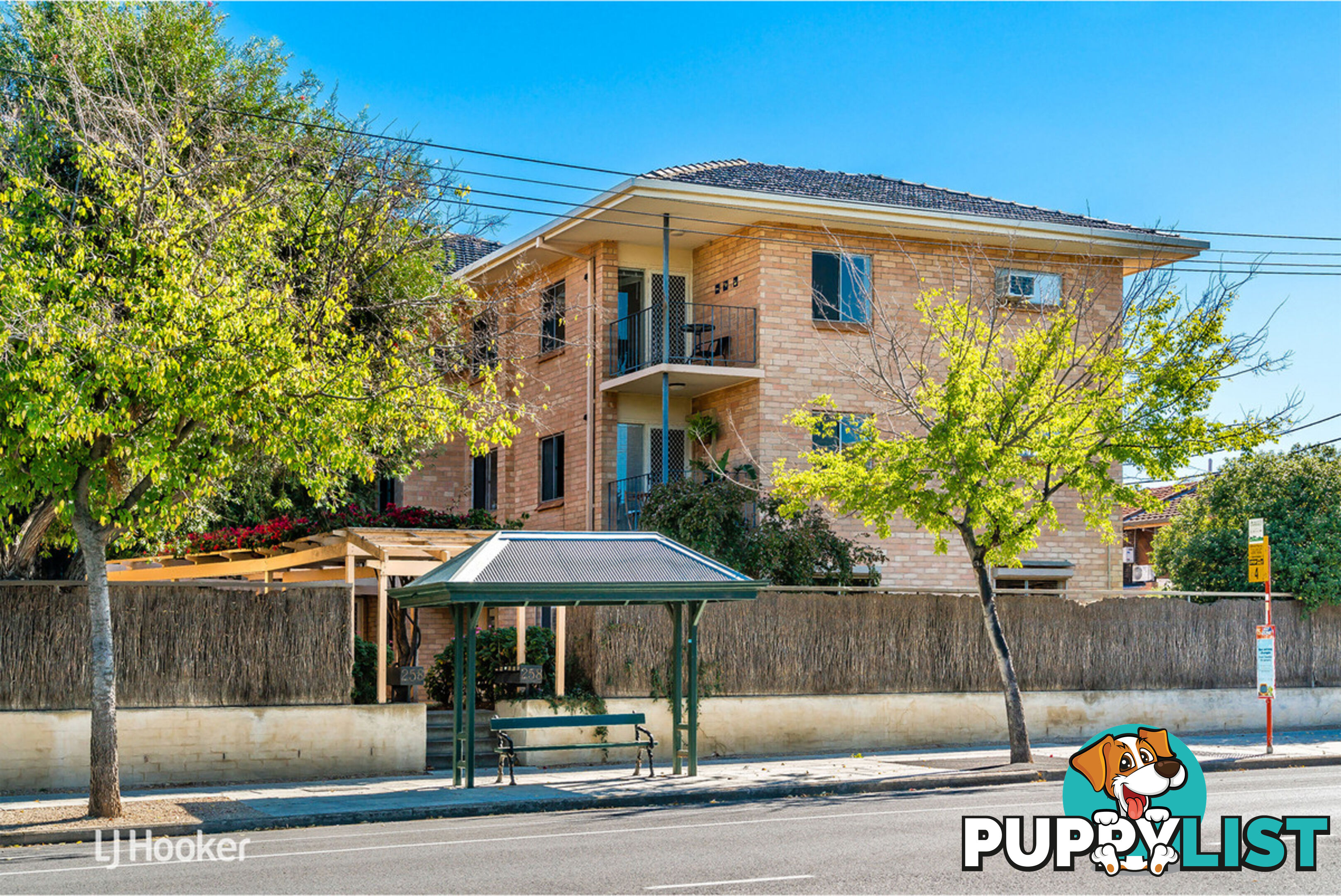 8/258 Ward Street NORTH ADELAIDE SA 5006