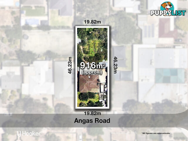 Lot 2 Angas Road MAGILL SA 5072