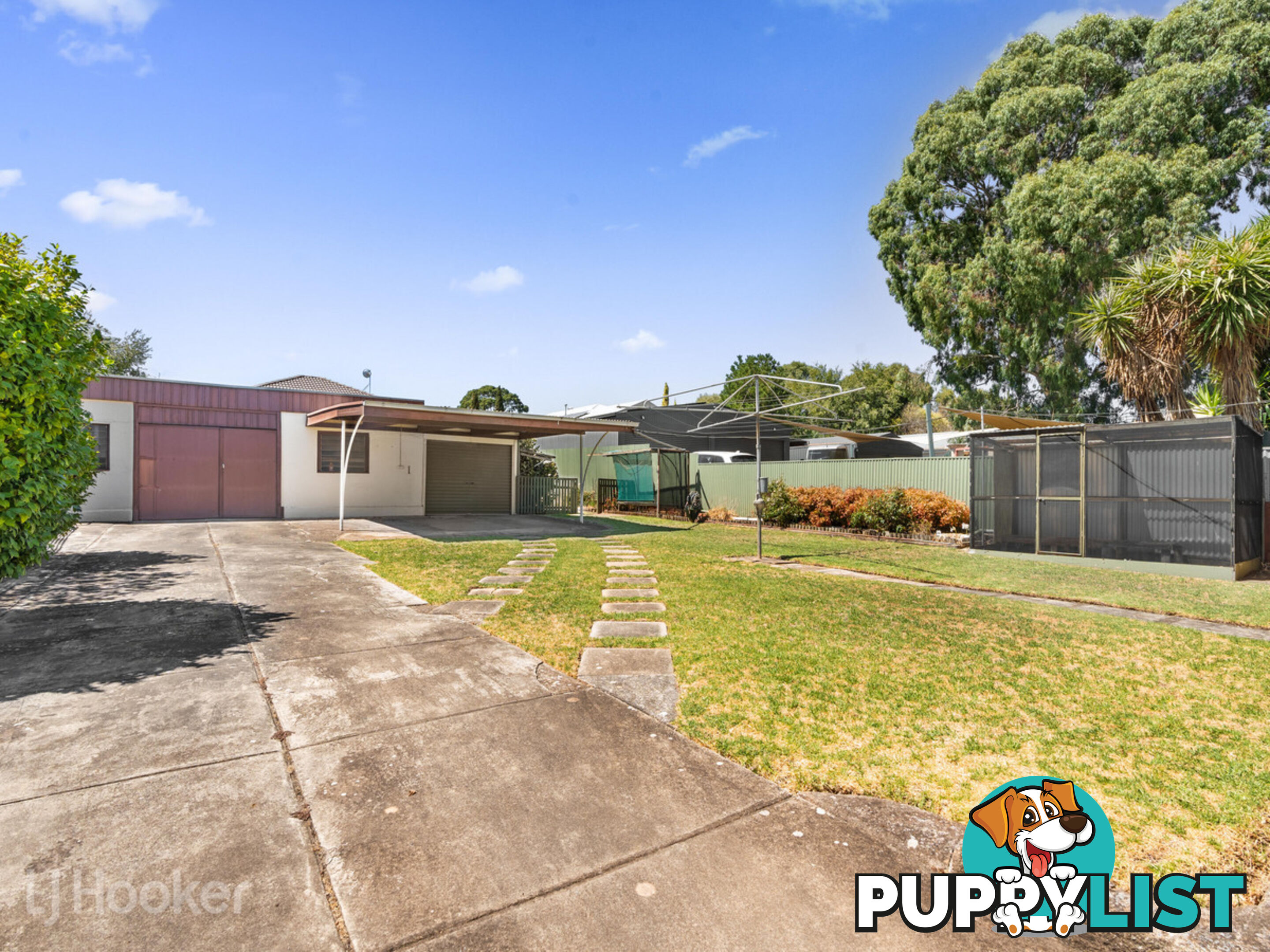 6 Barnes Avenue MAGILL SA 5072