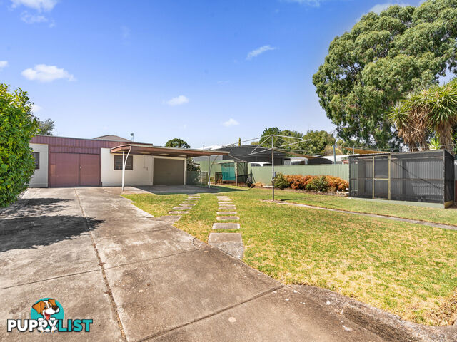 6 Barnes Avenue MAGILL SA 5072