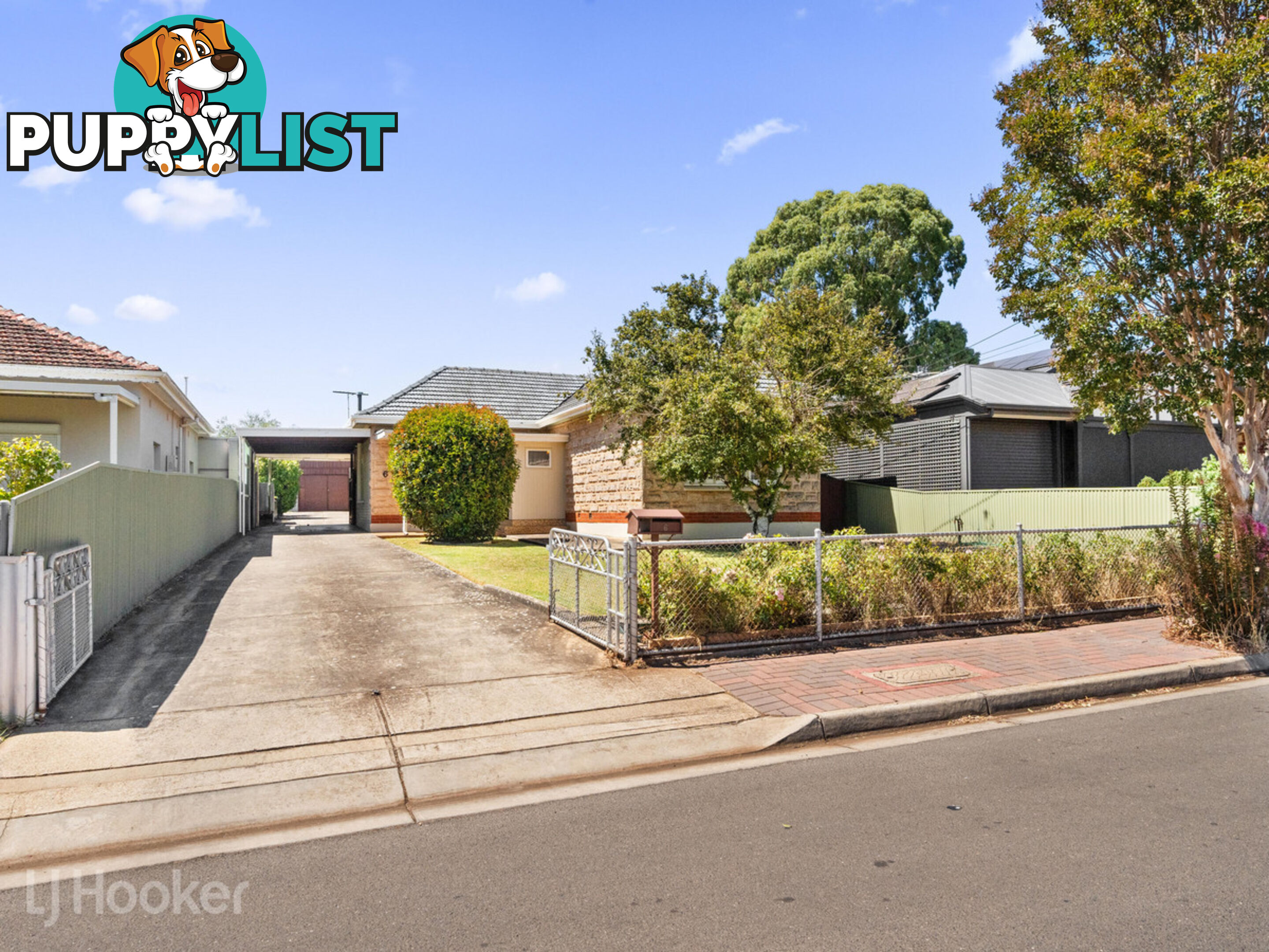 6 Barnes Avenue MAGILL SA 5072