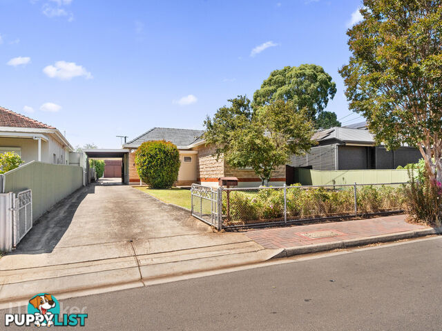 6 Barnes Avenue MAGILL SA 5072