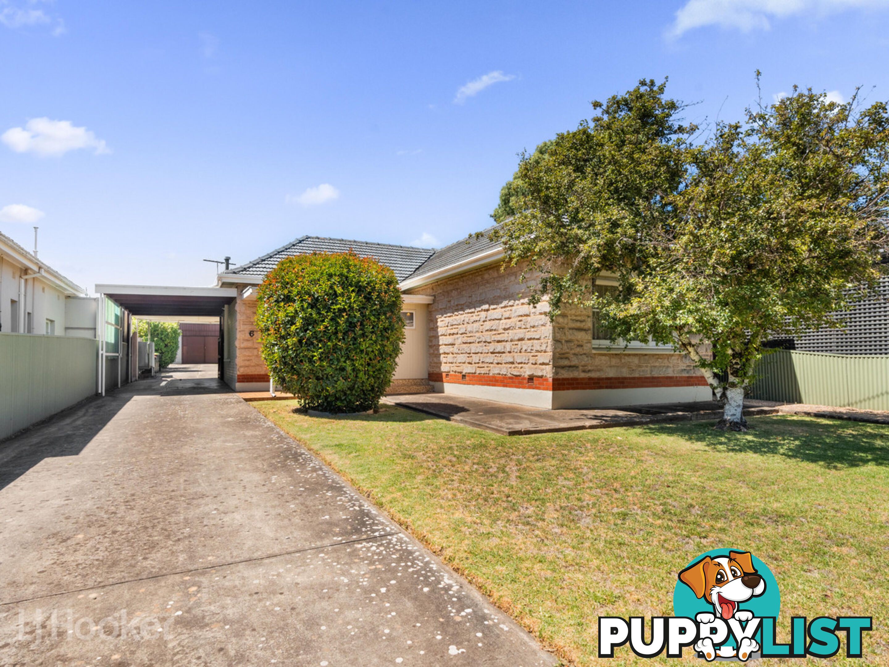 6 Barnes Avenue MAGILL SA 5072