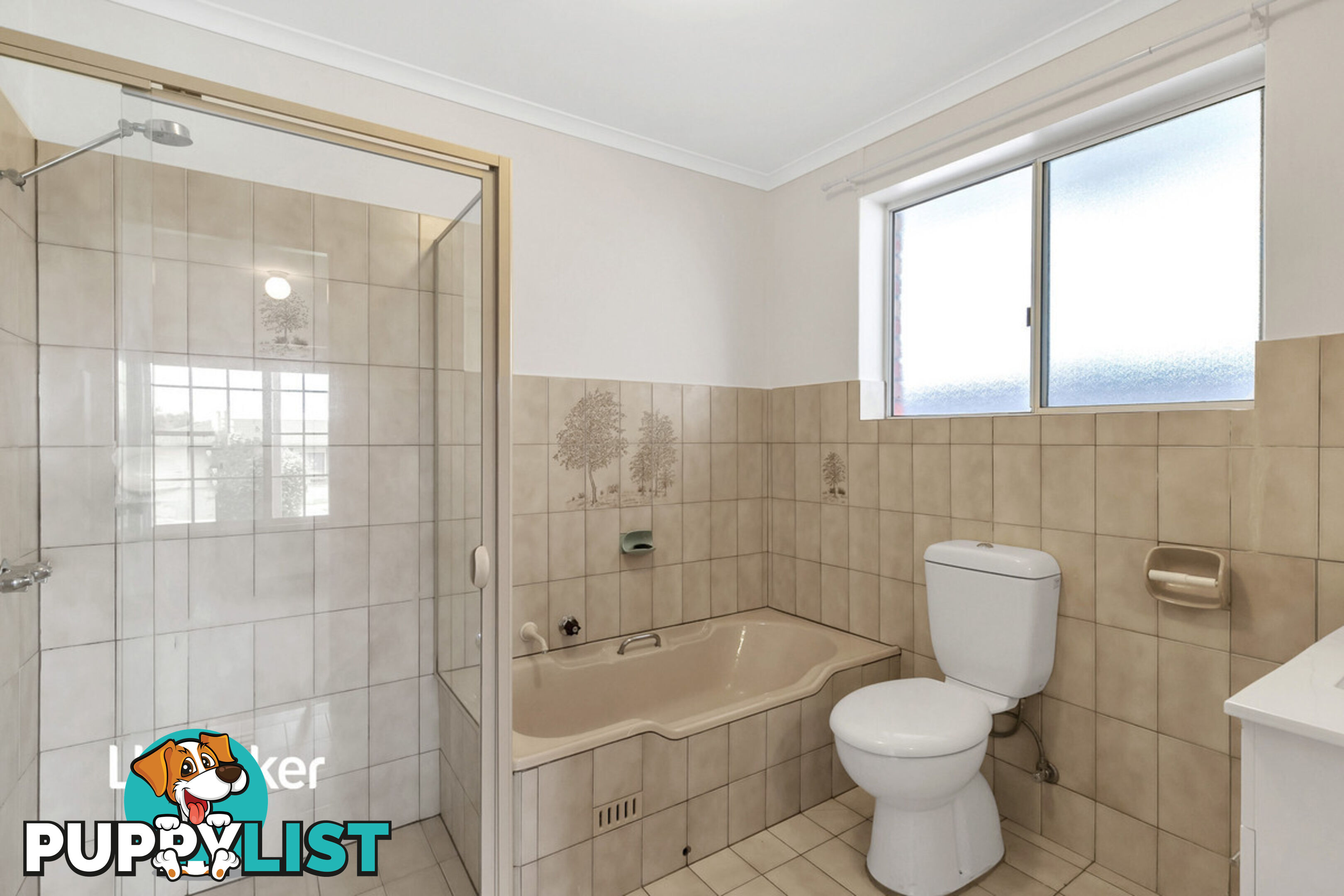 3A Theodore Avenue ATHELSTONE SA 5076