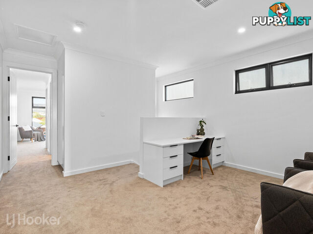 24B Chapel Street CAMPBELLTOWN SA 5074