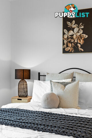 24B Chapel Street CAMPBELLTOWN SA 5074