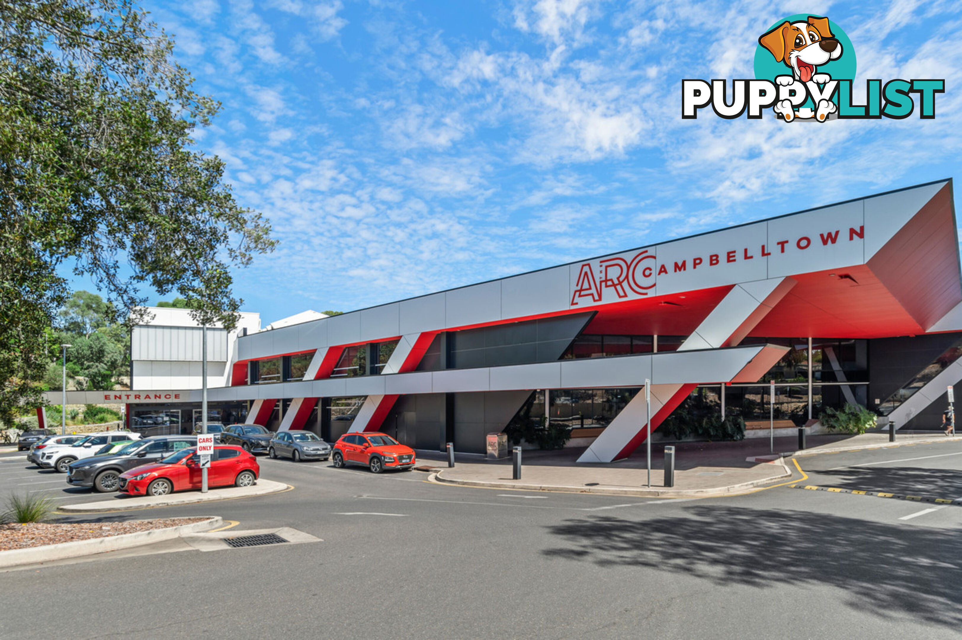 24A Chapel Street CAMPBELLTOWN SA 5074