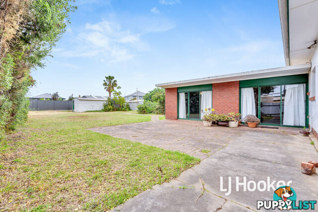 51 Balcombe Avenue FINDON SA 5023