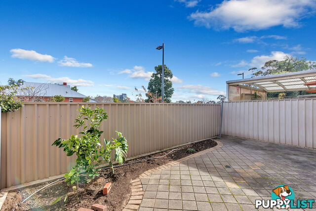 15 Cedar Crescent GLENSIDE SA 5065