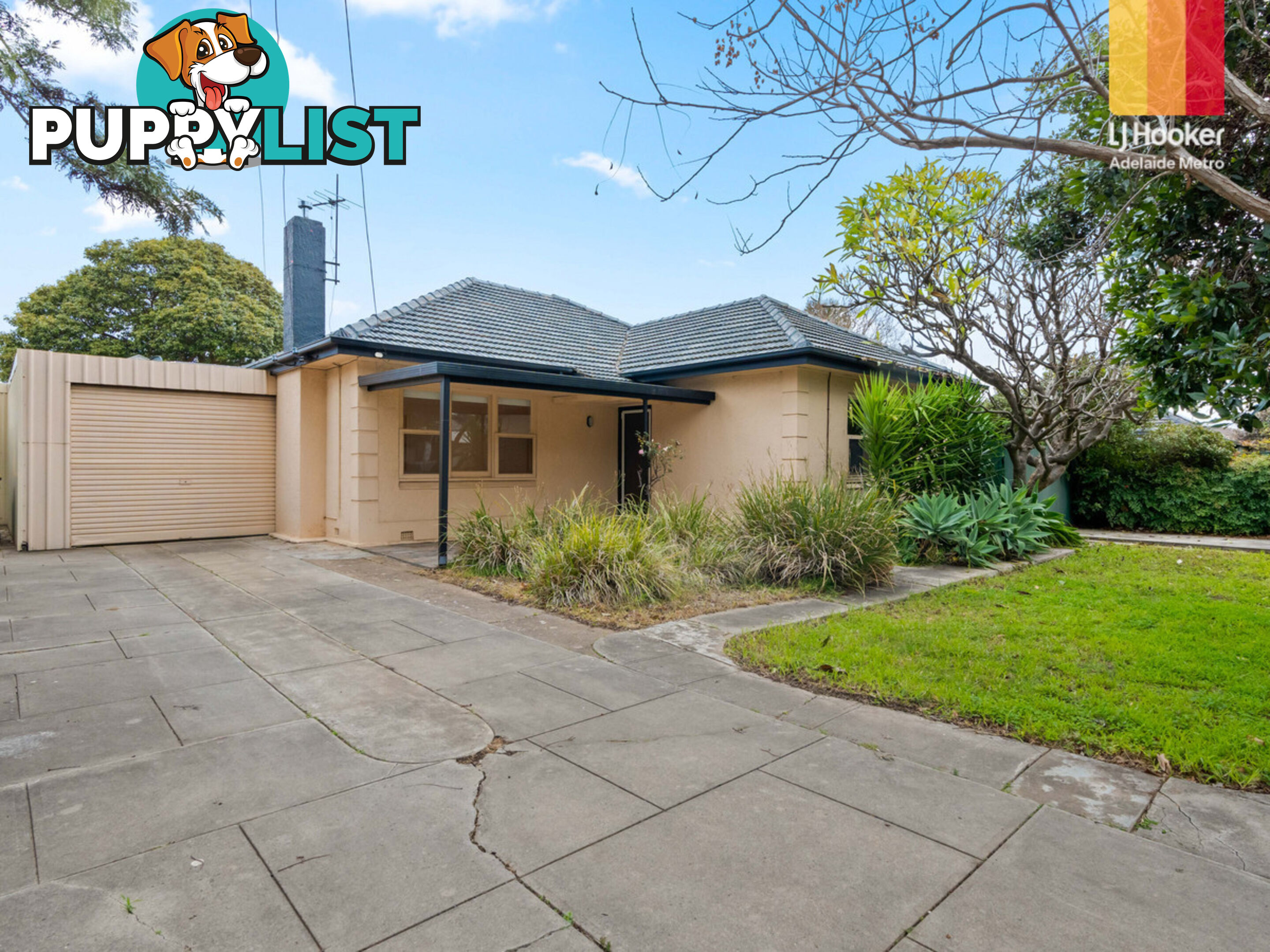 12 Grigg Street MARDEN SA 5070