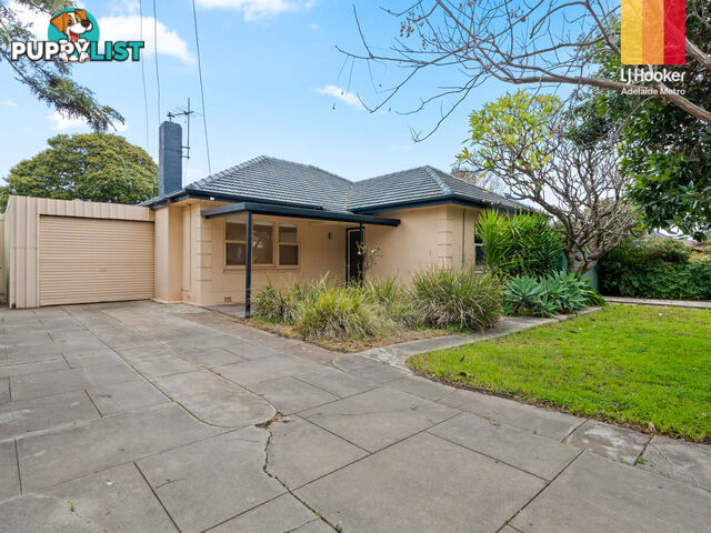 12 Grigg Street MARDEN SA 5070