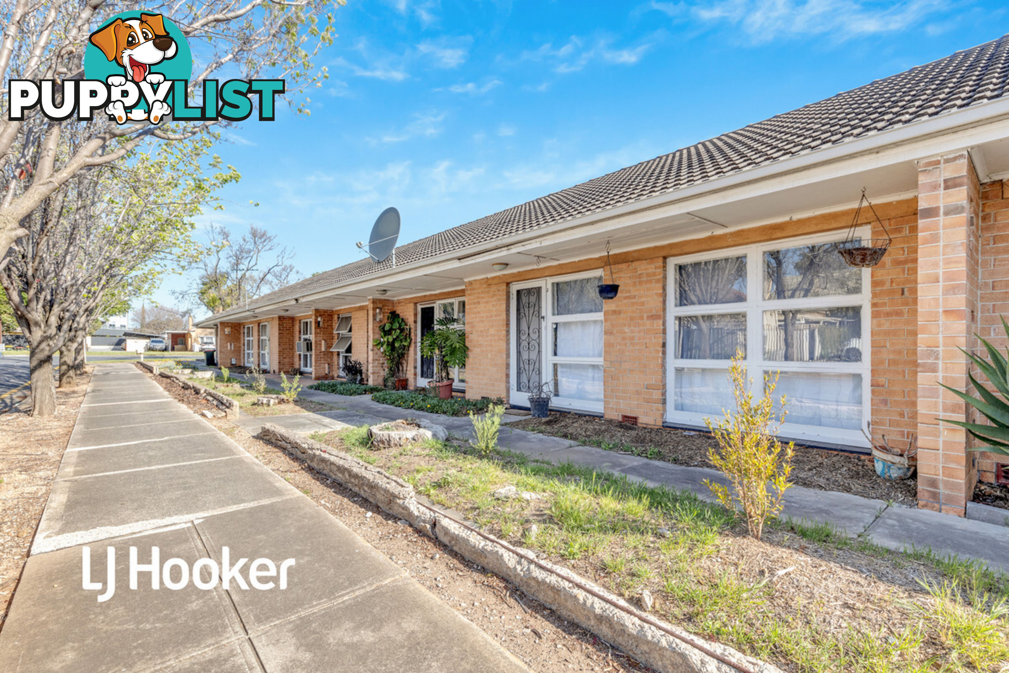 4/301 Anzac Highway PLYMPTON SA 5038