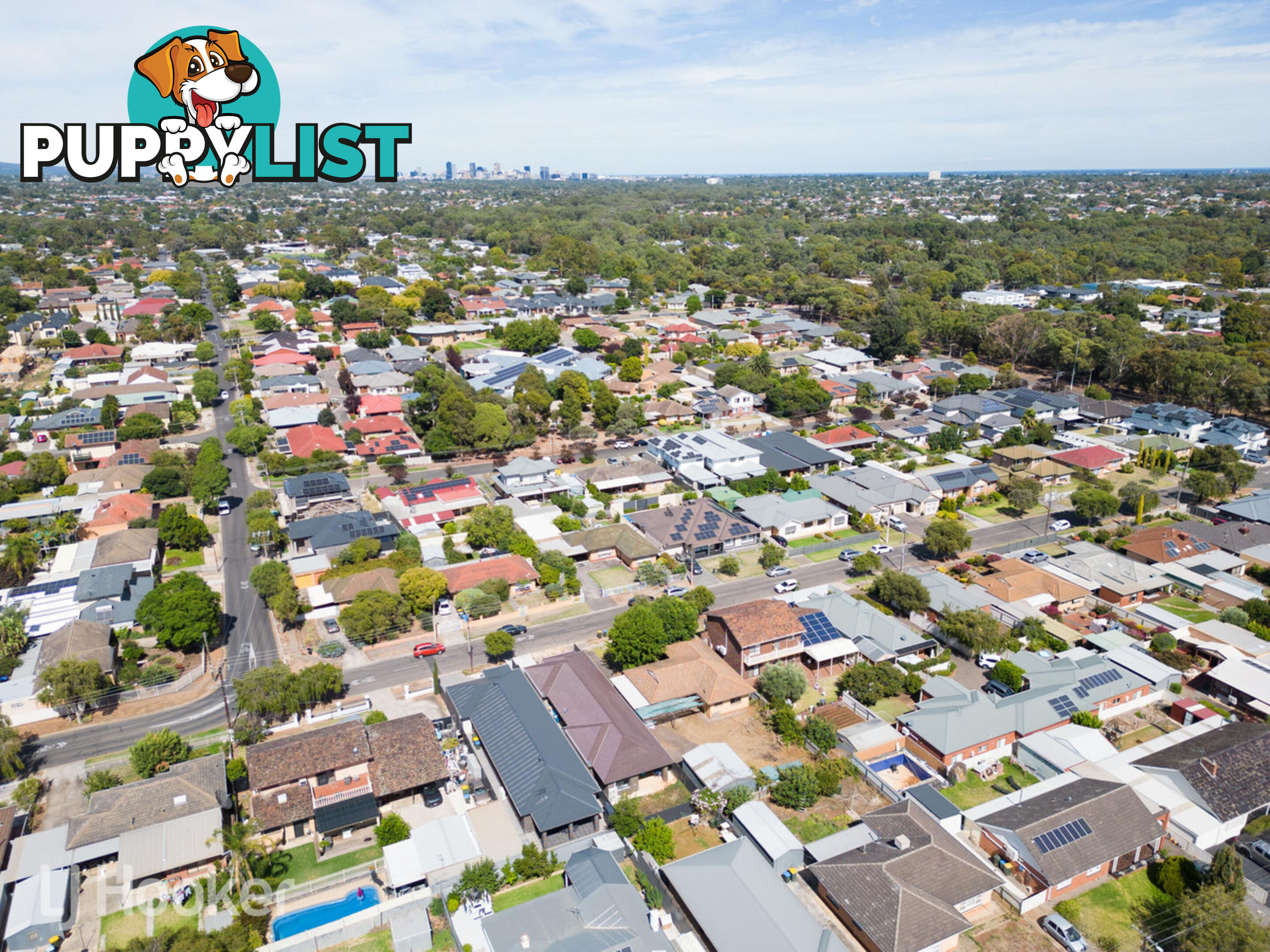 51 Ann Street CAMPBELLTOWN SA 5074