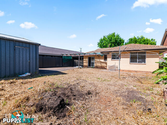 51 Ann Street CAMPBELLTOWN SA 5074