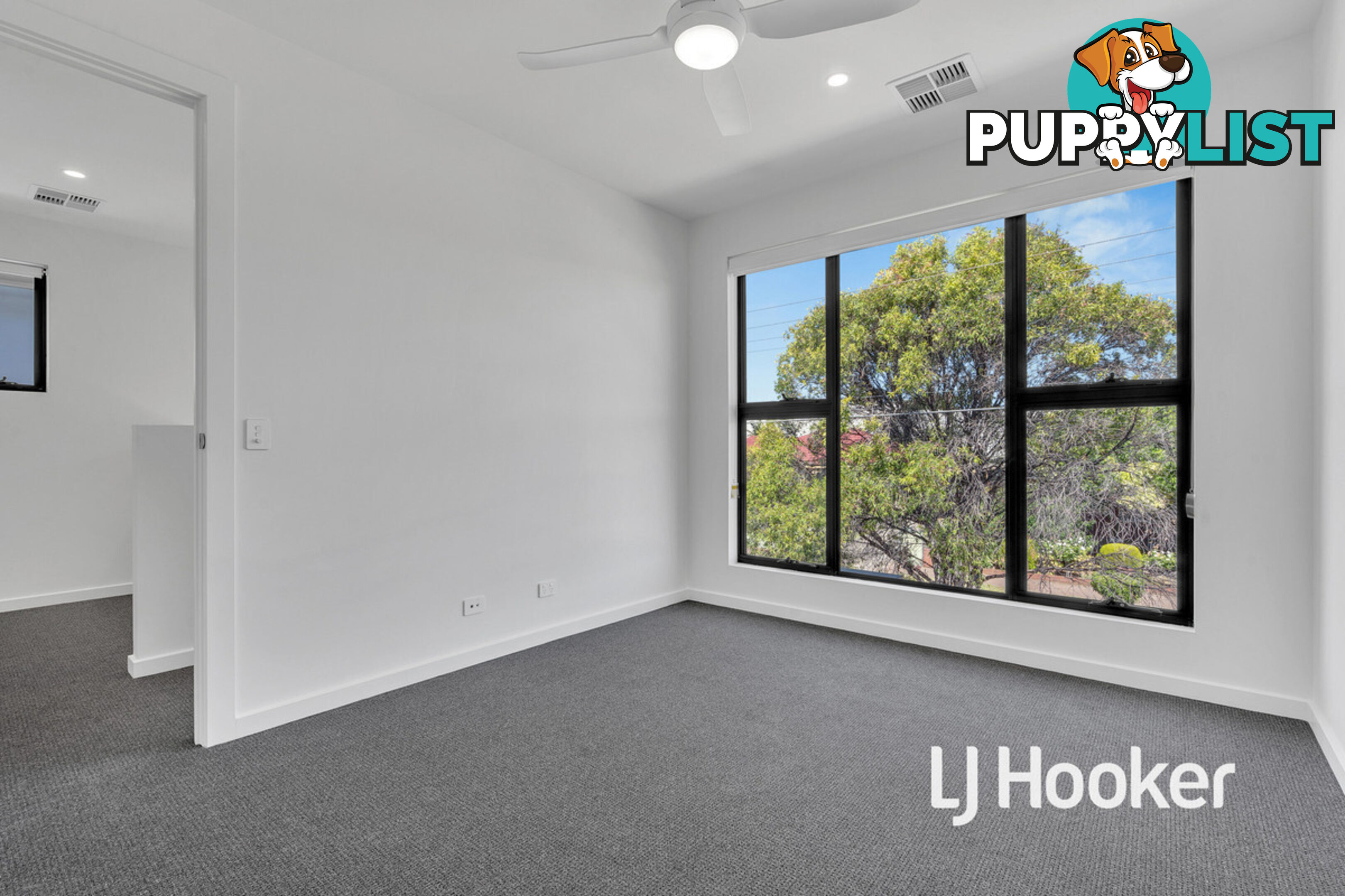 12 Coronation Avenue CAMPBELLTOWN SA 5074