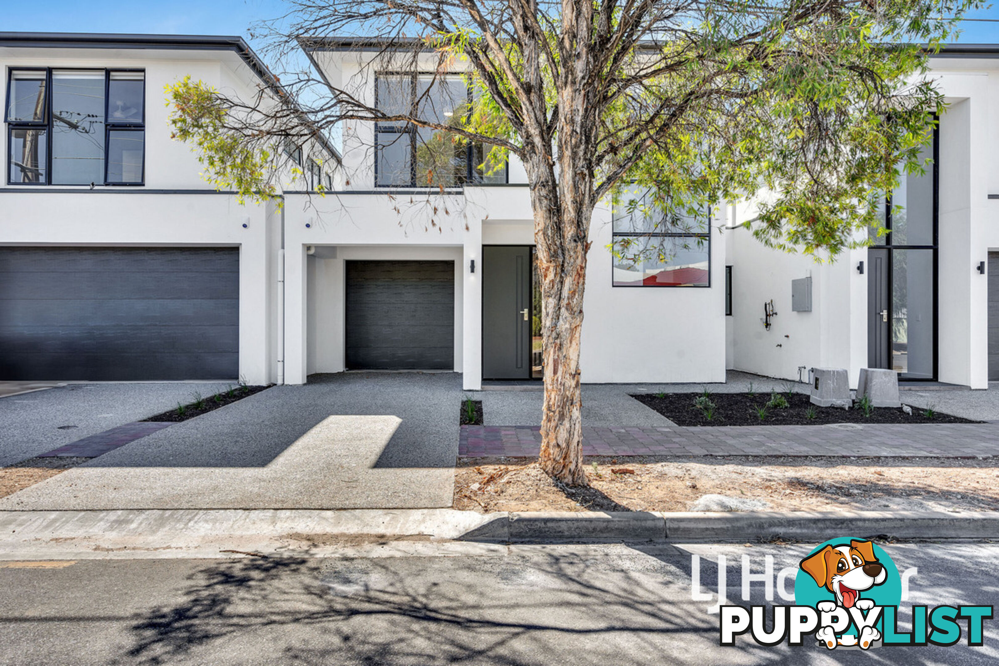 12 Coronation Avenue CAMPBELLTOWN SA 5074