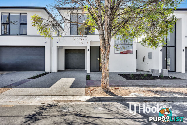 12 Coronation Avenue CAMPBELLTOWN SA 5074