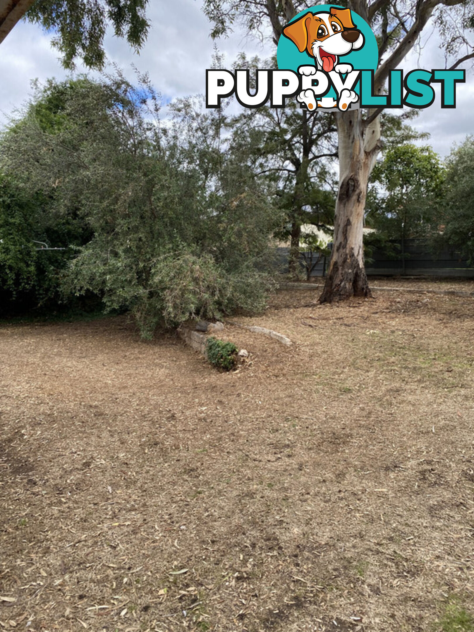 36 Farnham Terrace DERNANCOURT SA 5075