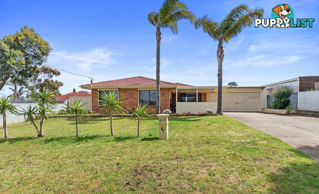 3 Beverley Street MORPHETT VALE SA 5162