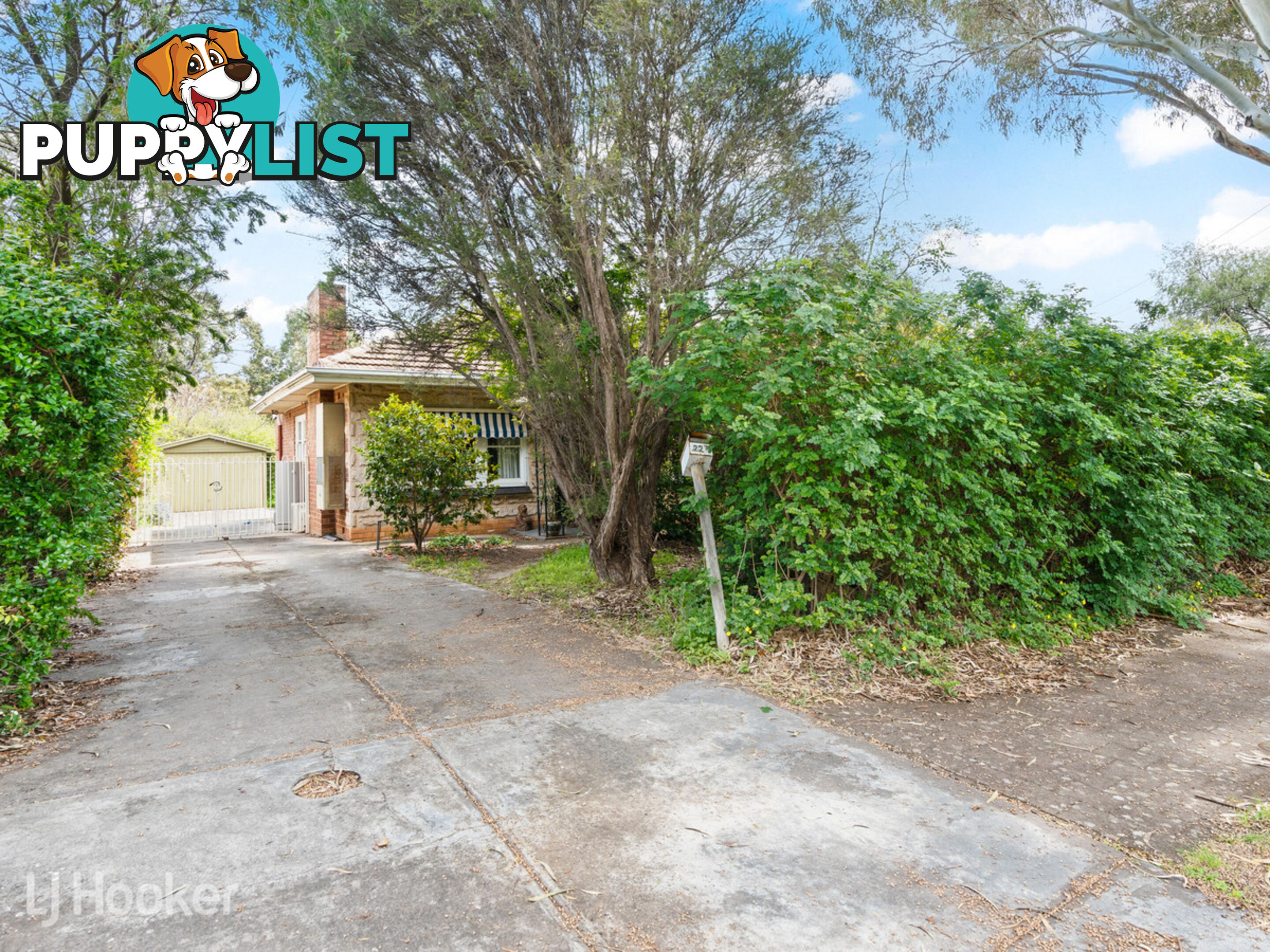 22 Selbourne Avenue ROSTREVOR SA 5073