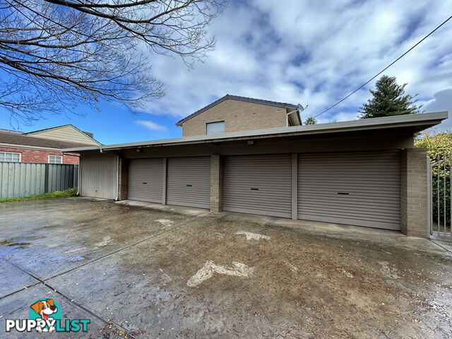 3/5 Alfred Road NORWOOD SA 5067