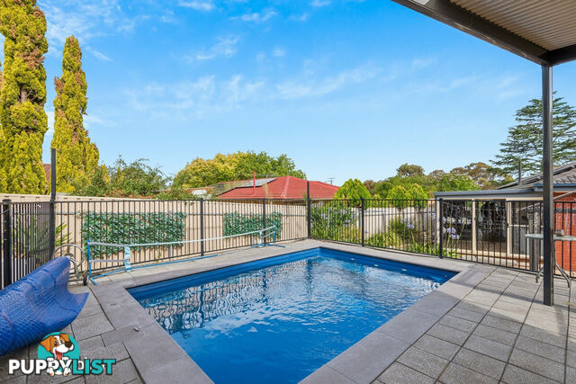 6 Sherwell Avenue MODBURY NORTH SA 5092