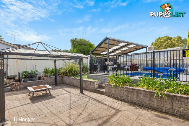 6 Sherwell Avenue MODBURY NORTH SA 5092