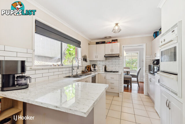 6 Sherwell Avenue MODBURY NORTH SA 5092