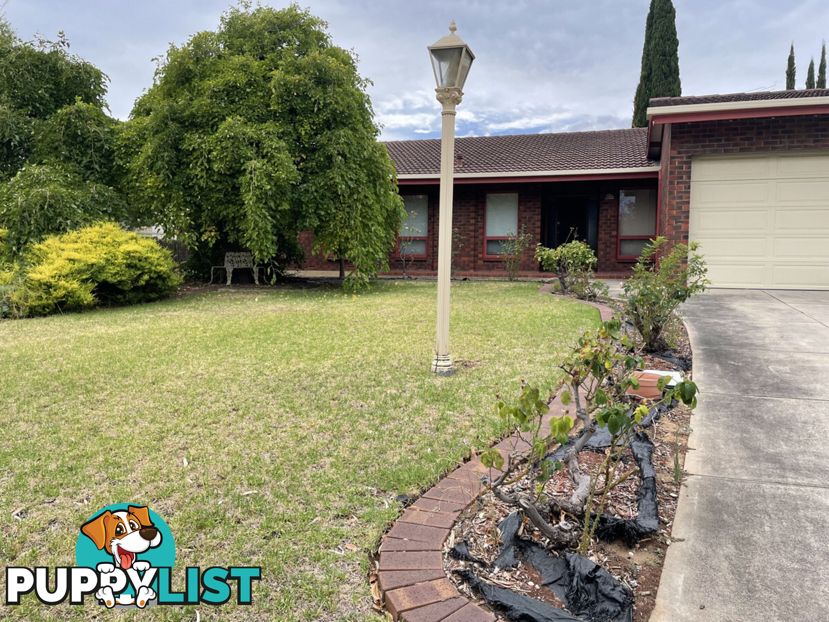 6 Philip Court ROSTREVOR SA 5073