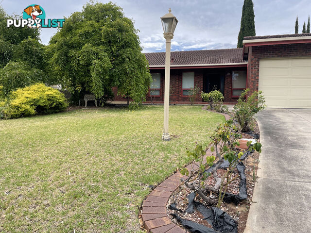 6 Philip Court ROSTREVOR SA 5073