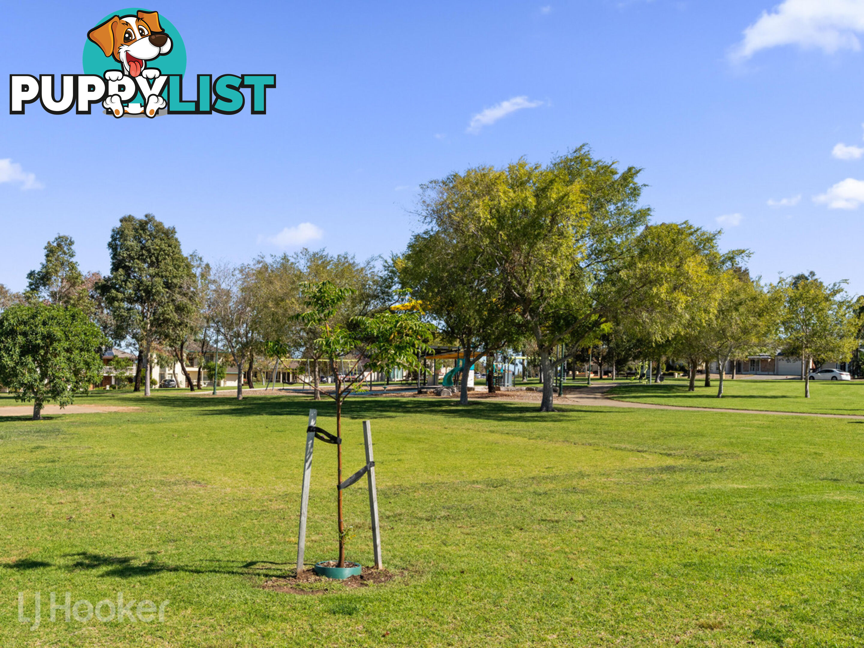 12 Pineview Court WALKLEY HEIGHTS SA 5098