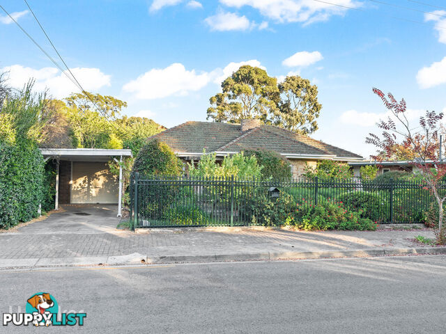 15 Hackett Terrace MARRYATVILLE SA 5068